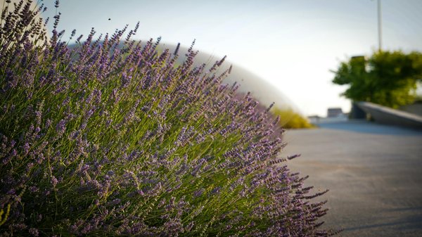 Créer une ambiance intelligente et immersive avec une enceinte connectée