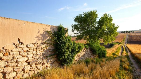 5 raisons d'isoler vos murs dans le Loiret pour des économies